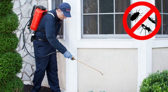 Evka 6 Karınca İlaçlama böcek ilaçlama ve haşere kontrolü — ilaclama-tr.com